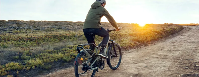 Riese and Muller Superdelite GT Rohloff Electric Bike Warm Silver Matt-10
